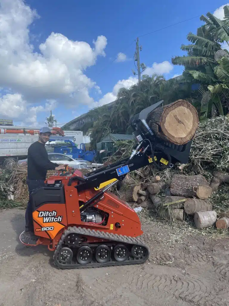 Tree_Removal