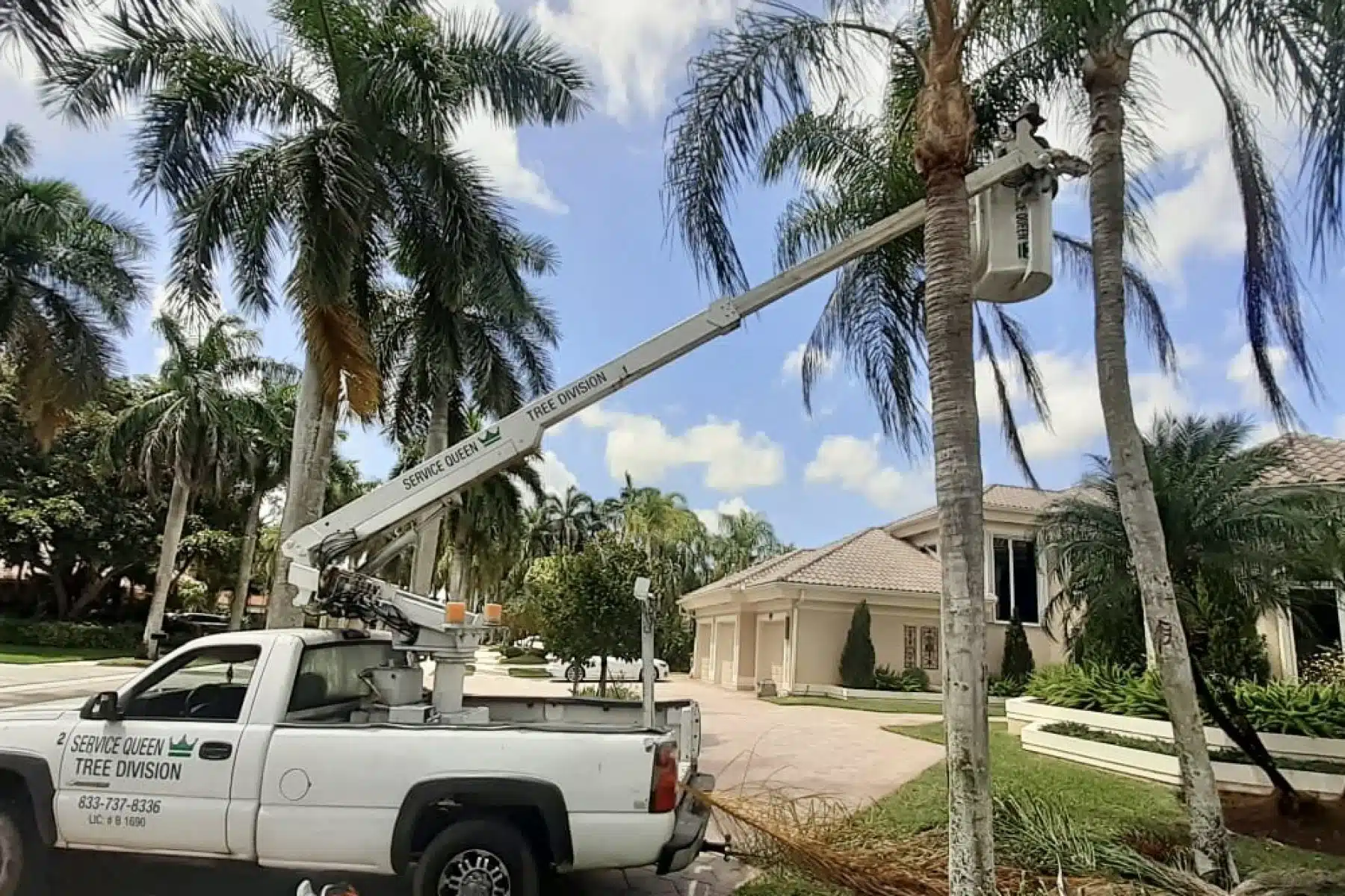 Tree_Removal_Company